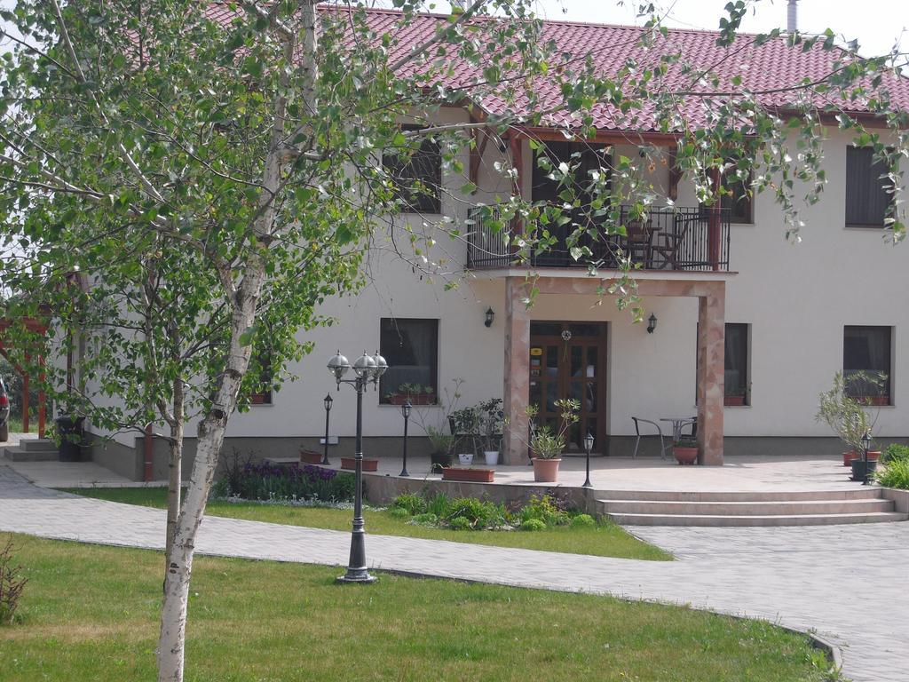Anna Panzio Hotel Dunavarsany Exterior photo